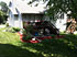 Backyard Photo